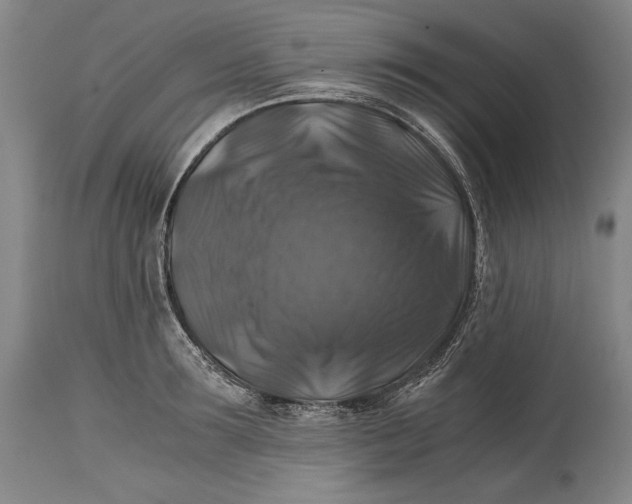 X0000114390899200911061512
