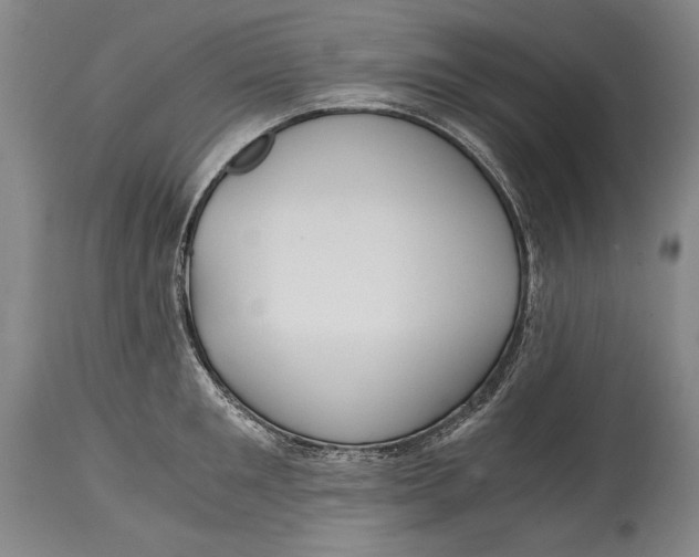 X0000114390901200911061512