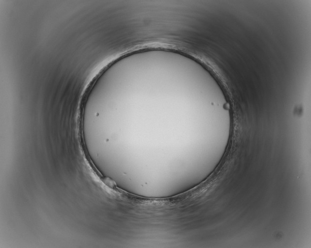 X0000114390902200911061512
