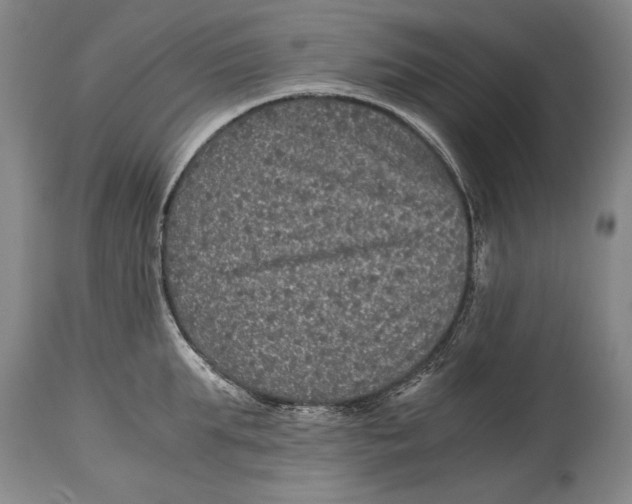 X0000114390903200911061512