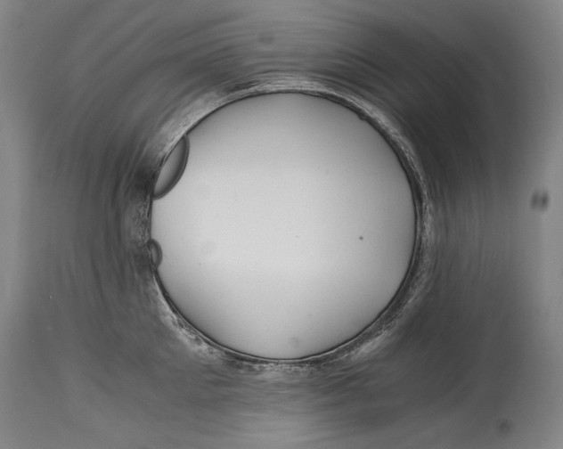 X0000114390905200911061512