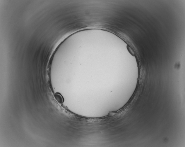 X0000114390908200911061512