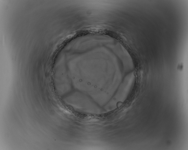 X0000114390913200911061511
