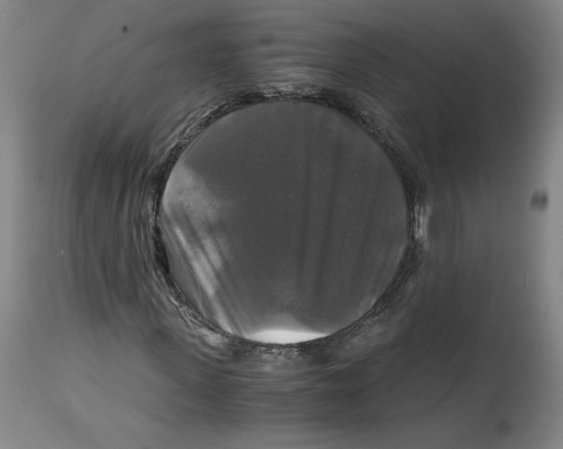 X0000114390915200911061511