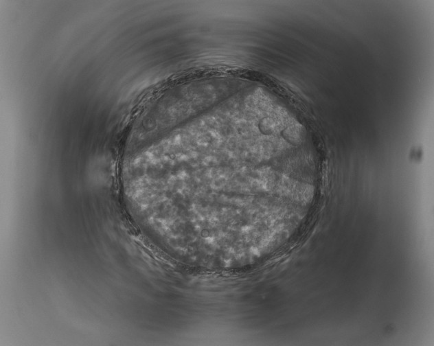 X0000114390917200911061511