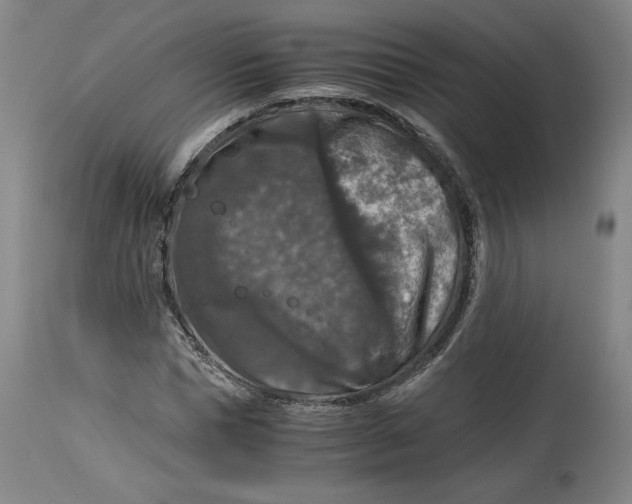 X0000114390921200911061511