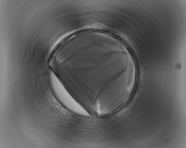X0000114390923200911061511
