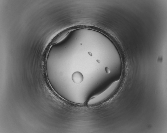 X0000114390926200911061511