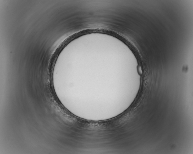 X0000114390927200911061511