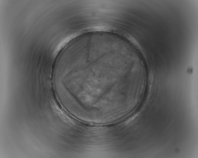 X0000114390930200911061511