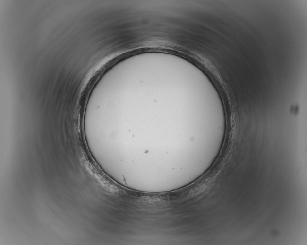X0000114390931200911061511