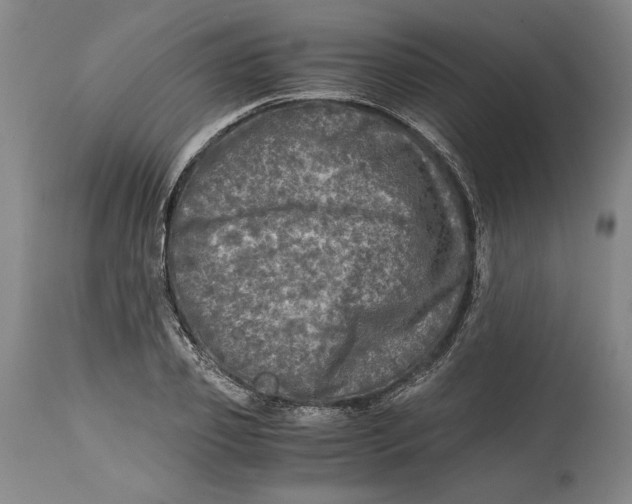X0000114390933200911061511