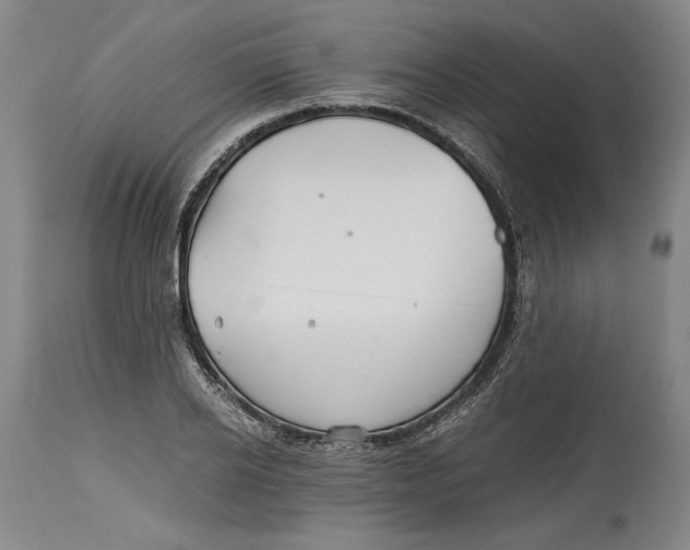 X0000114390934200911061511