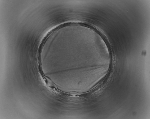 X0000114390935200911061511