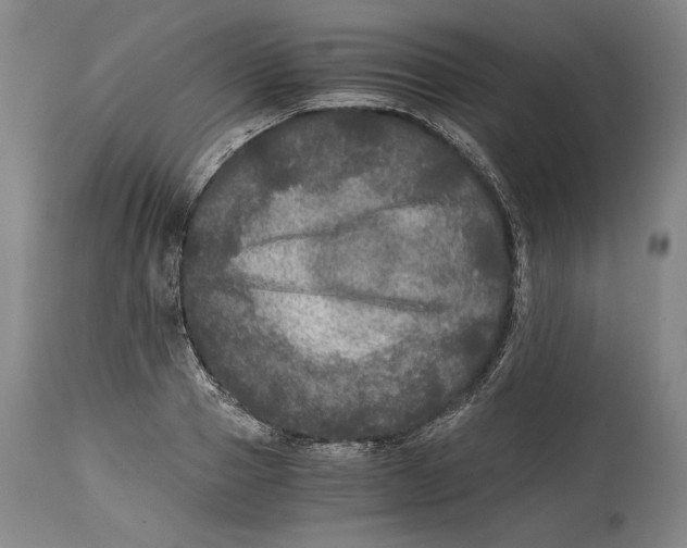 X0000114390937200911061511