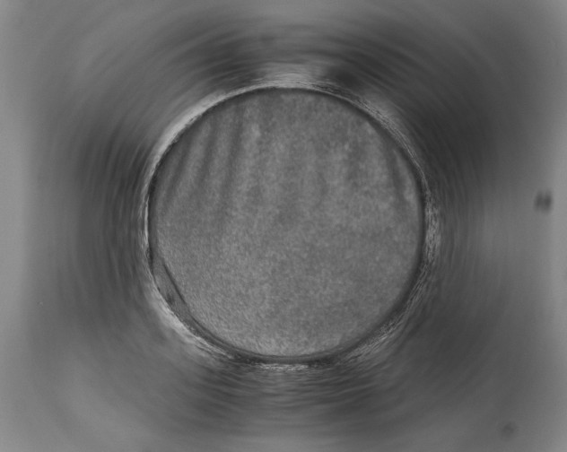 X0000114390939200911061511