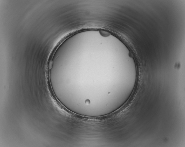 X0000114390942200911061511