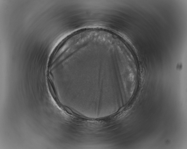X0000114390943200911061511