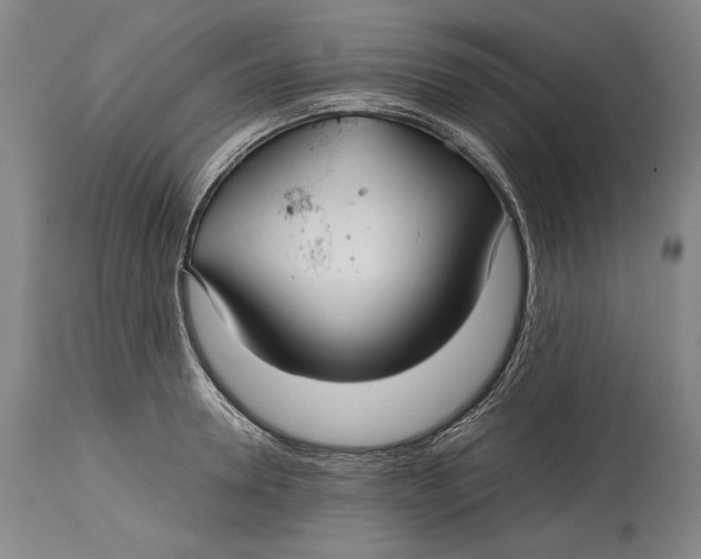 X0000114390946200911061511