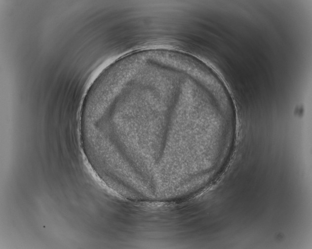 X0000114390949200911061512
