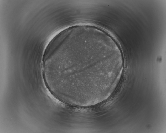 X0000114390951200911061512