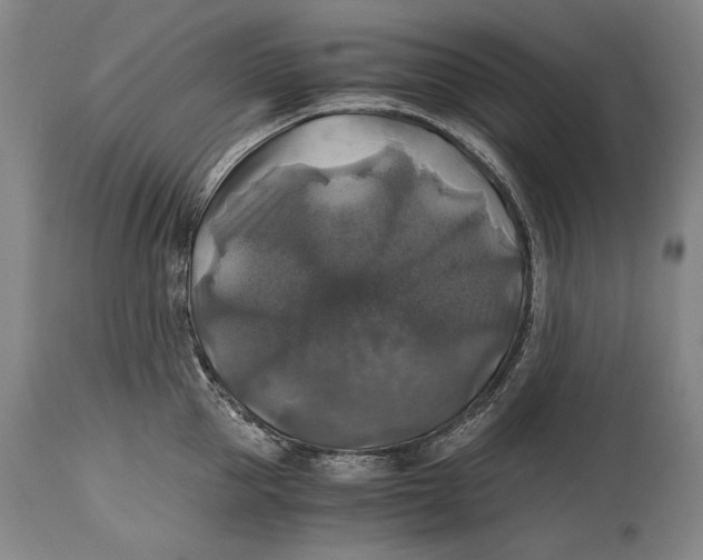 X0000114390953200911061512