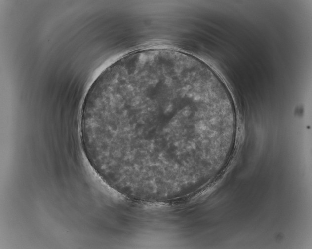 X0000114390957200911061512