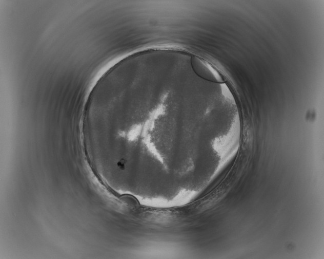X0000114390959200911061512