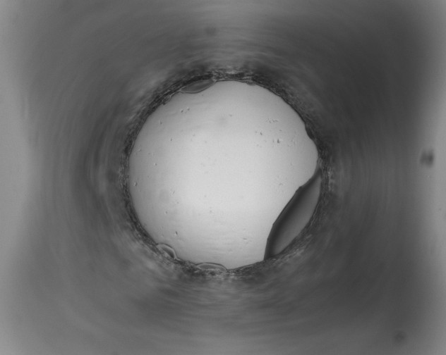 X0000114390961200911061511
