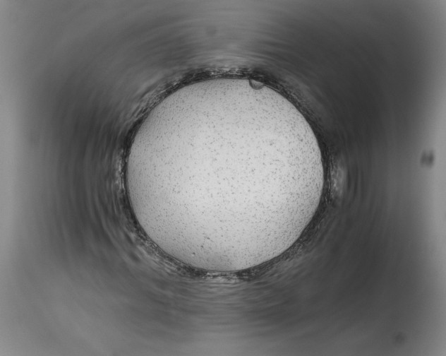 X0000114390964200911061511