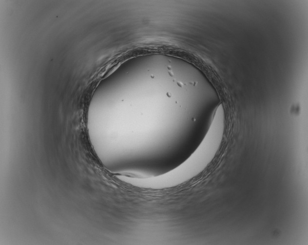 X0000114390965200911061511
