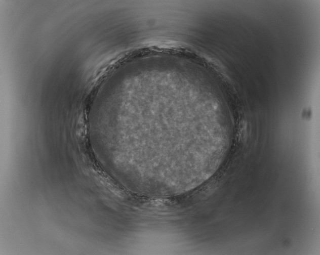 X0000114390966200911061511