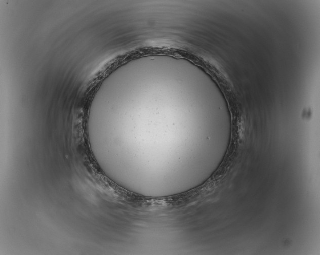 X0000114390968200911061511