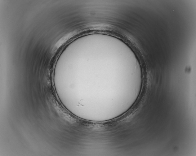 X0000114390970200911061511
