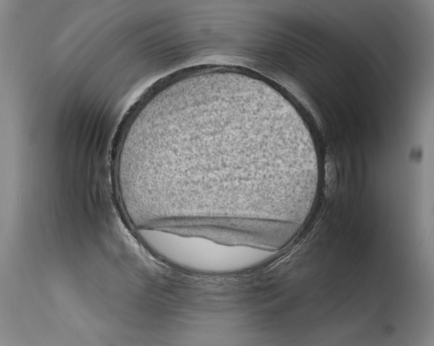 X0000114390972200911061511