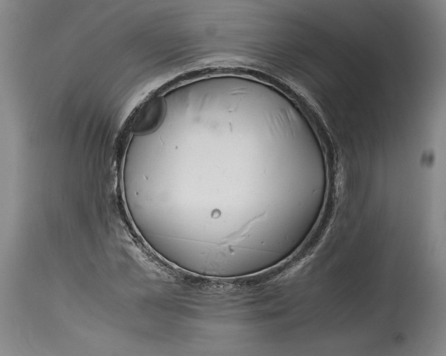 X0000114390973200911061511