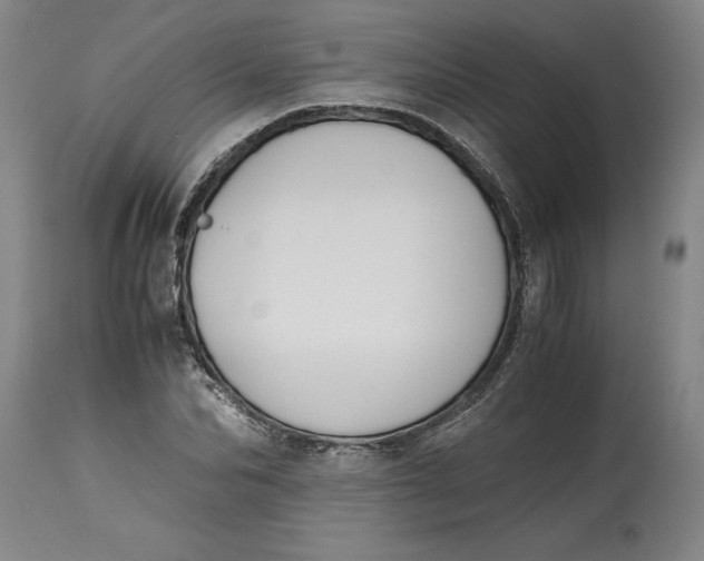 X0000114390974200911061511