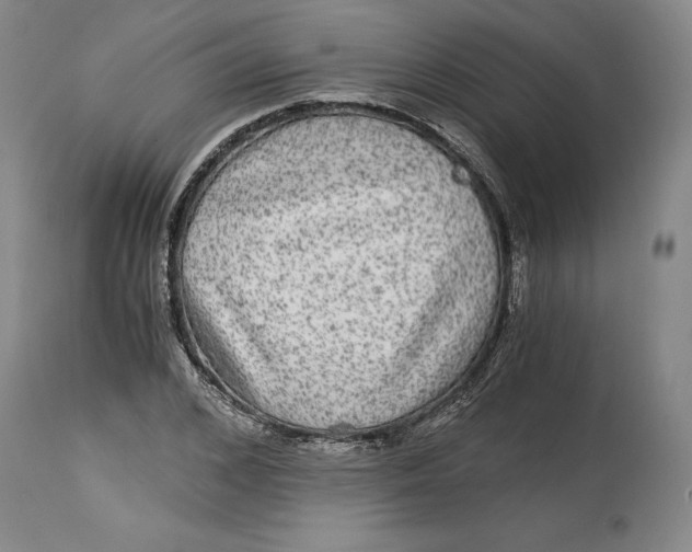 X0000114390976200911061511
