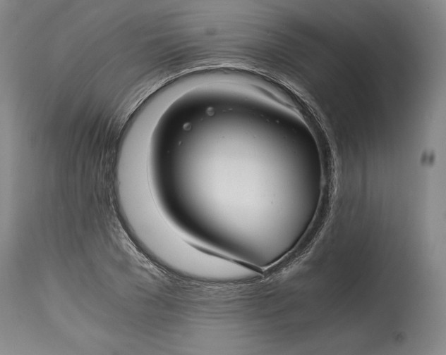 X0000114390977200911061511