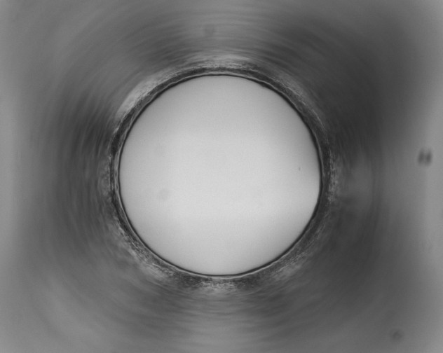 X0000114390978200911061511
