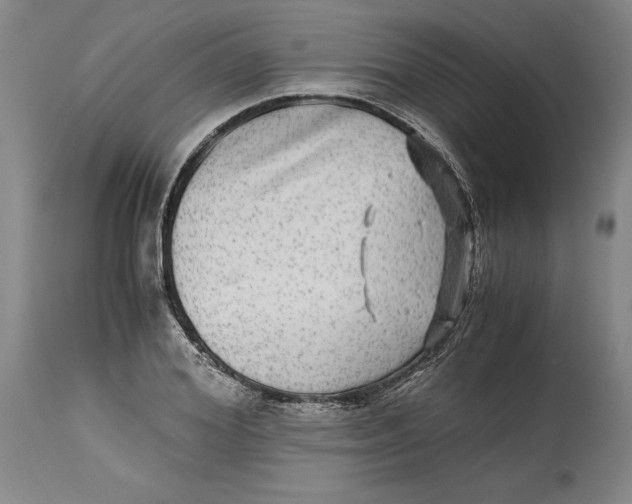 X0000114390980200911061511