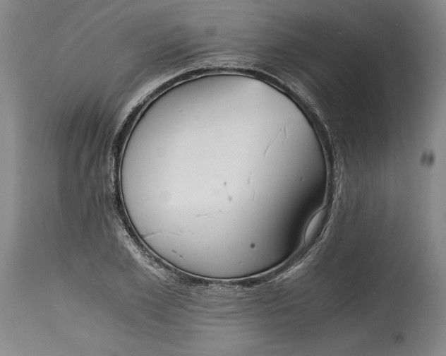 X0000114390981200911061511
