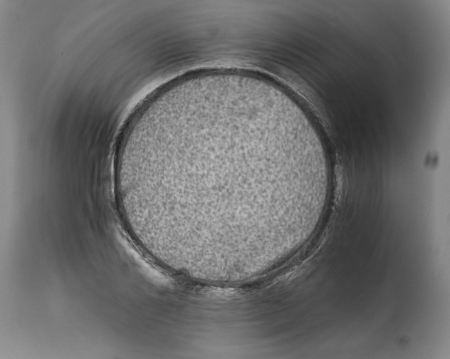 X0000114390982200911061511