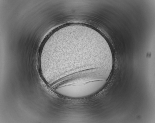 X0000114390984200911061511