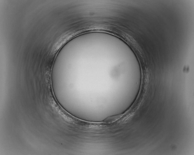X0000114390985200911061511