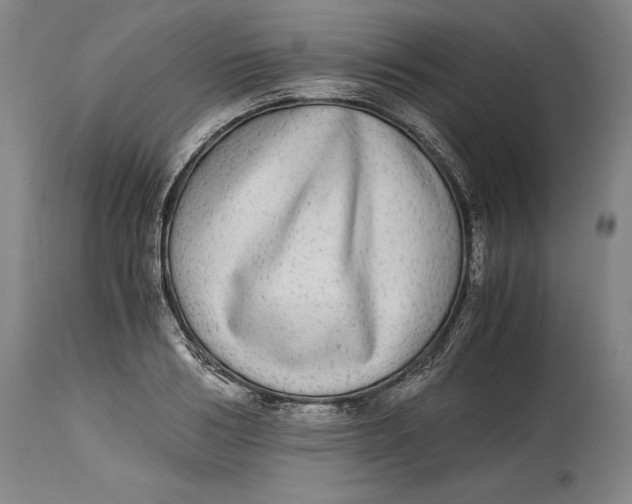 X0000114390986200911061511