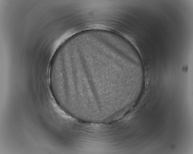 X0000114390987200911061510