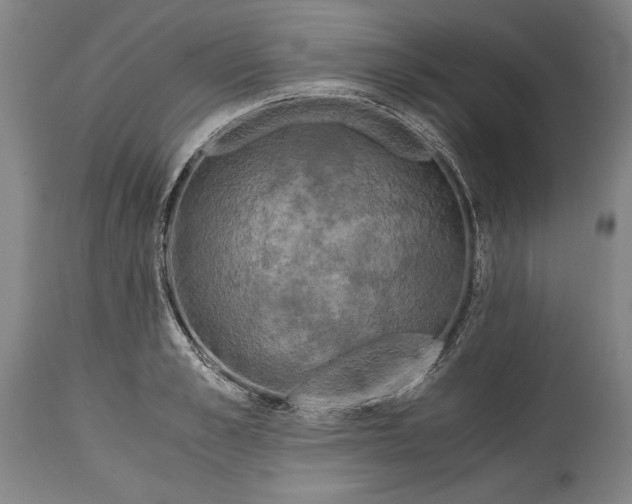 X0000114390989200911061510