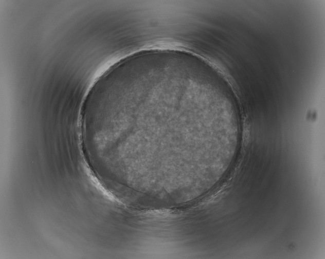 X0000114390990200911061510