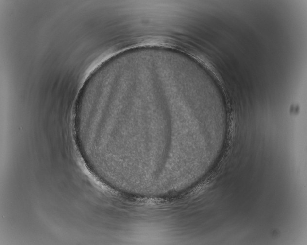 X0000114390991200911061510